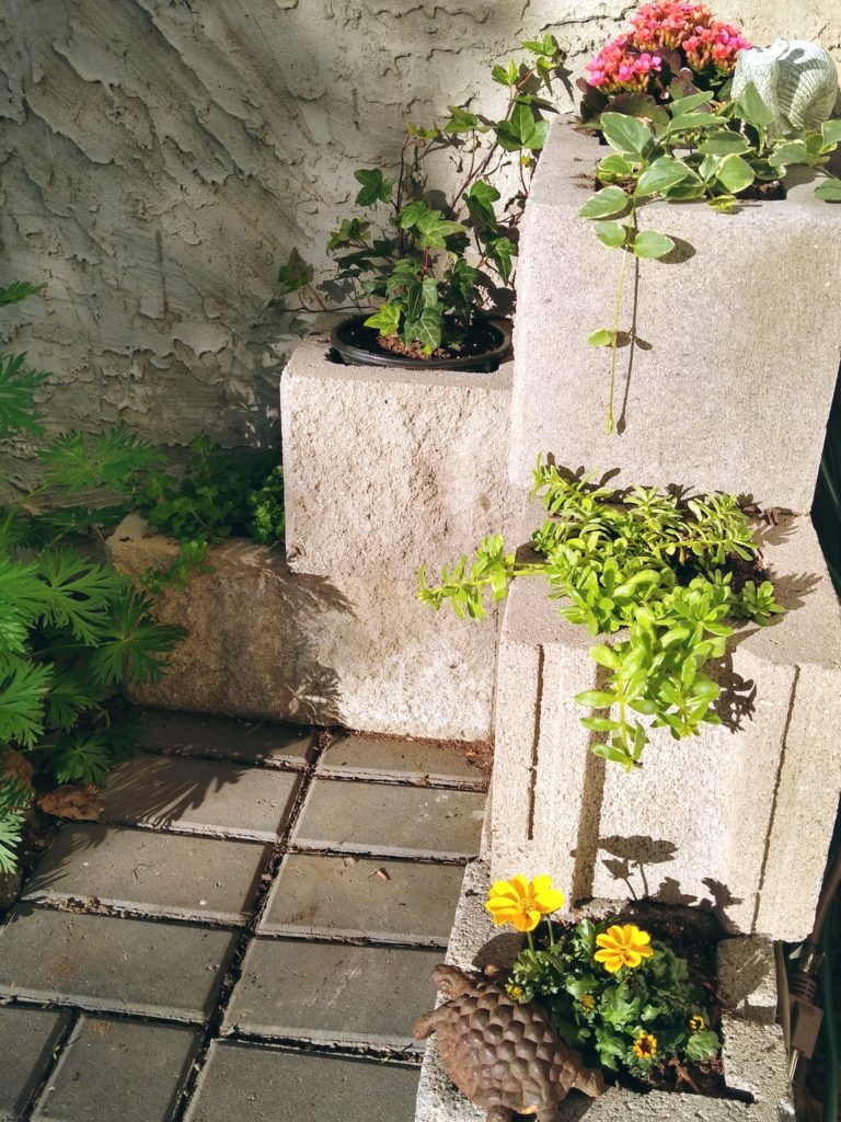 Cinder block garden