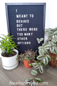 plants and a letter board