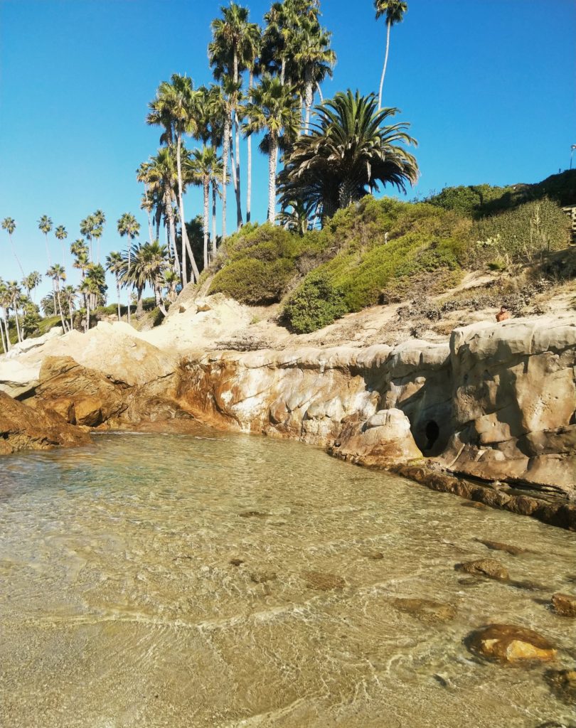 Laguna Beach tide pools