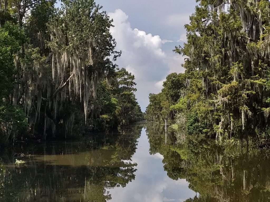 Travel photo of the bayou