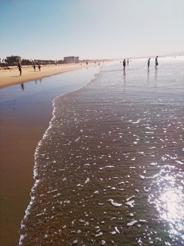 Travel photo book: California Venice Beach