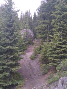 Trail towards treeline