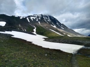 Walking through Wilcox Pass Alberta